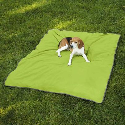 Insect Shield for pets Blanket